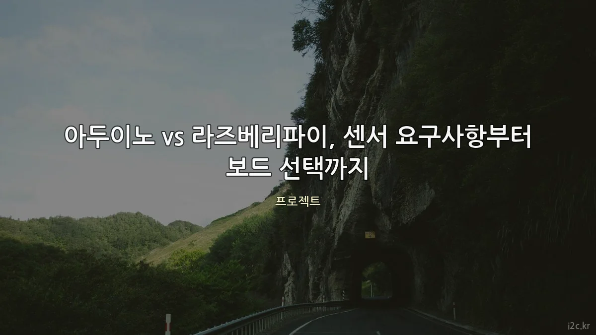 아두이노 vs 라즈베리파이, 센서 요구사항부터 보드 선택까지