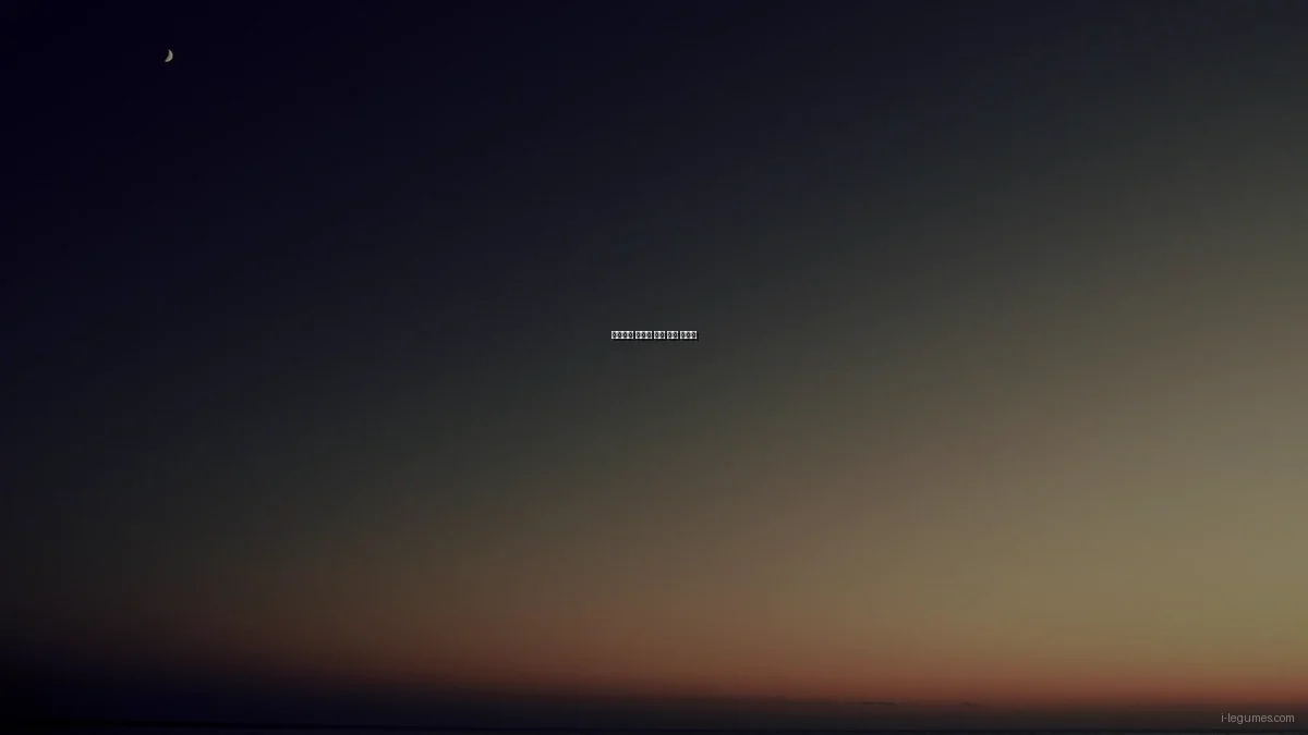 가격대별 건강한 콩류 선택 가이드