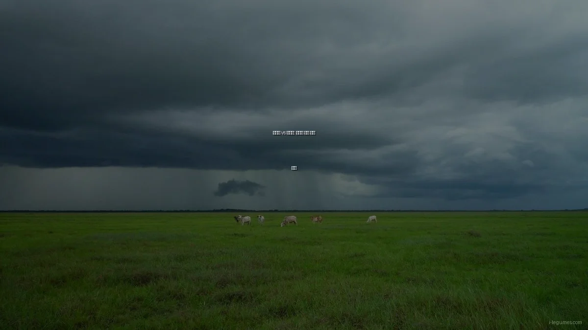 검은콩 vs 노란콩: 영양과 요리 활용 비교