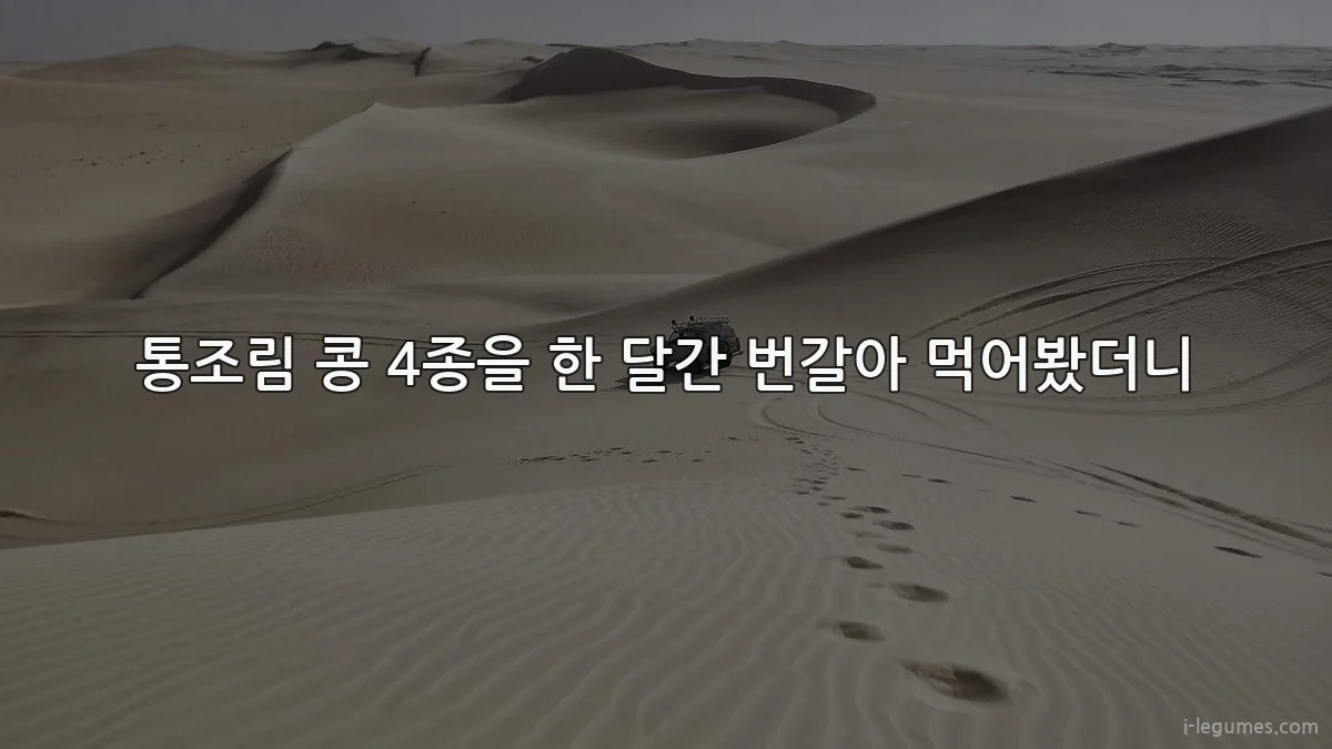 통조림 콩 4종을 한 달간 번갈아 먹어봤더니