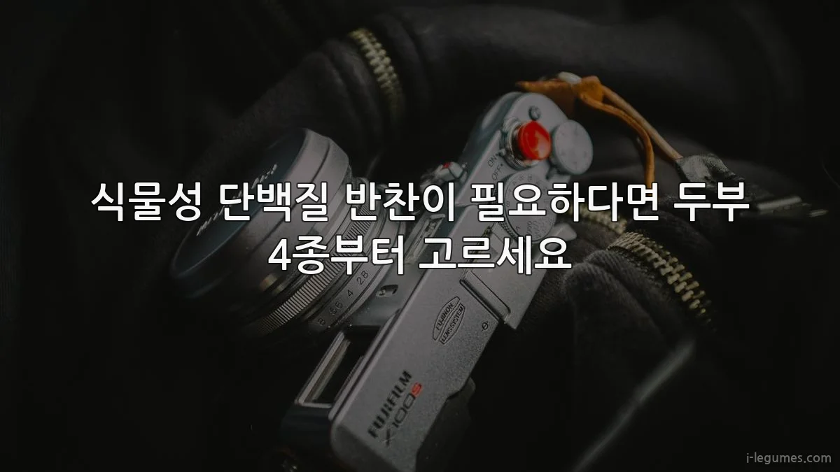식물성 단백질 반찬이 필요하다면 두부 4종부터 고르세요