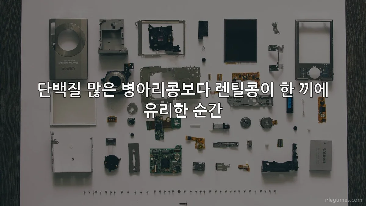 단백질 많은 병아리콩보다 렌틸콩이 한 끼에 유리한 순간