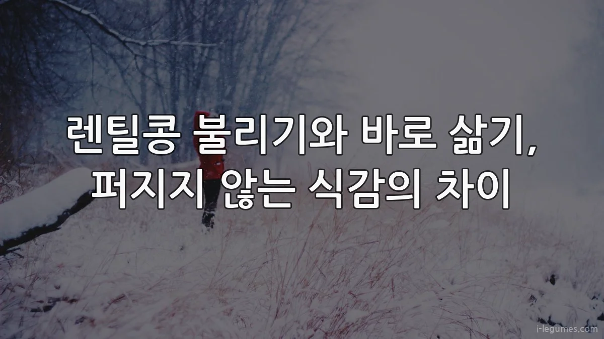 렌틸콩 불리기와 바로 삶기, 퍼지지 않는 식감의 차이