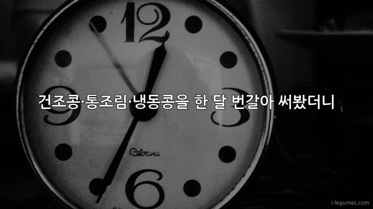 건조콩·통조림·냉동콩을 한 달 번갈아 써봤더니