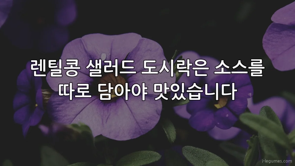 렌틸콩 샐러드 도시락은 소스를 따로 담아야 맛있습니다