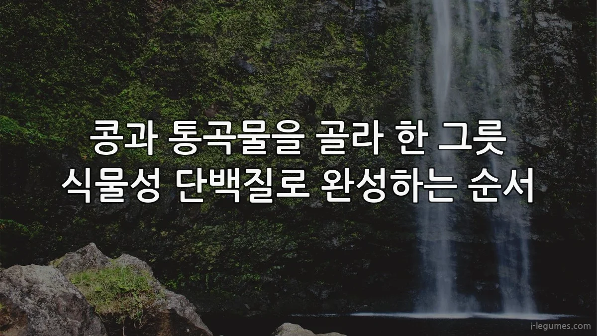 콩과 통곡물을 골라 한 그릇 식물성 단백질로 완성하는 순서