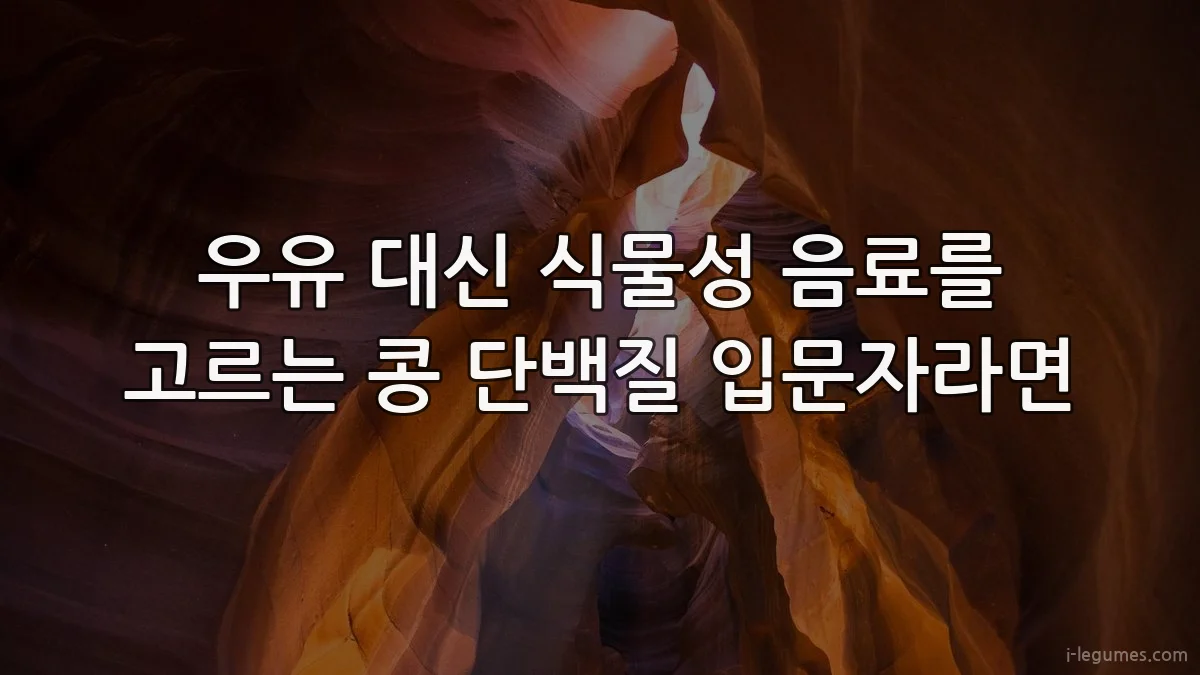 우유 대신 식물성 음료를 고르는 콩 단백질 입문자라면