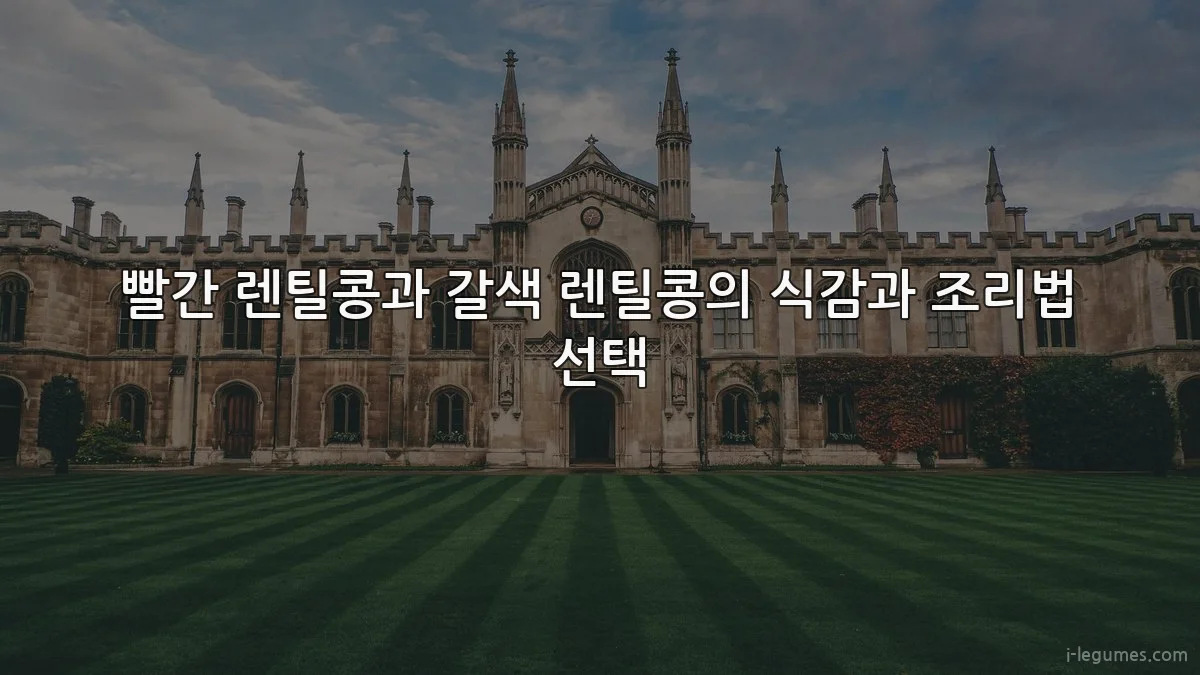 빨간 렌틸콩과 갈색 렌틸콩의 식감과 조리법 선택