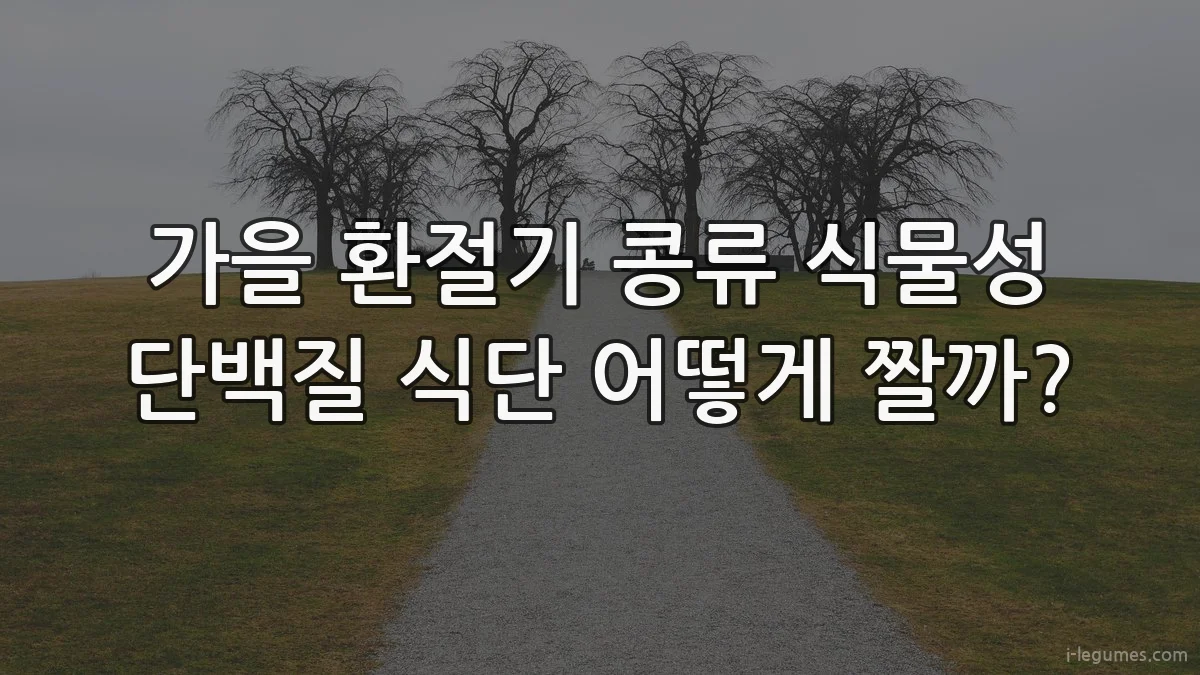 가을 환절기 콩류 식물성 단백질 식단 어떻게 짤까?