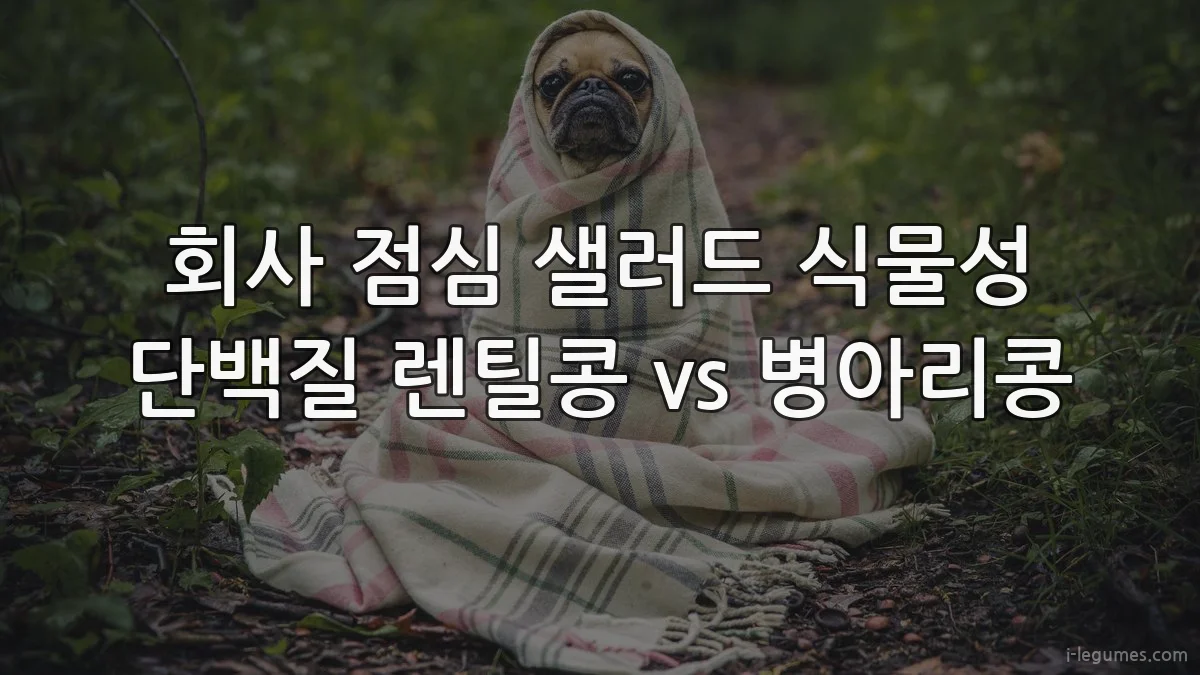 회사 점심 샐러드 식물성 단백질 렌틸콩 vs 병아리콩