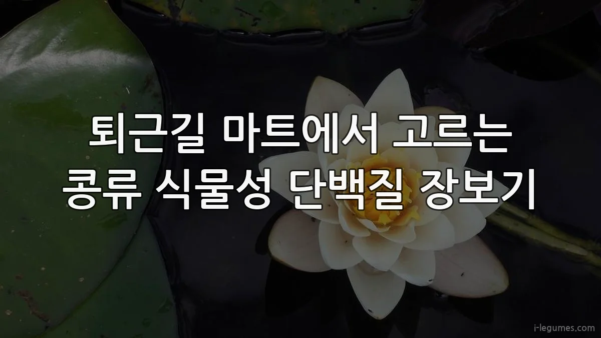 퇴근길 마트에서 고르는 콩류 식물성 단백질 장보기