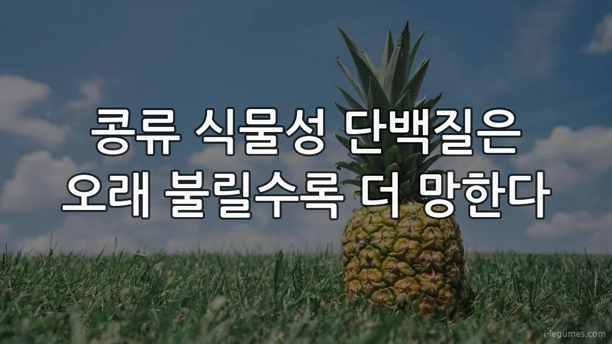 콩류 식물성 단백질은 오래 불릴수록 더 망한다