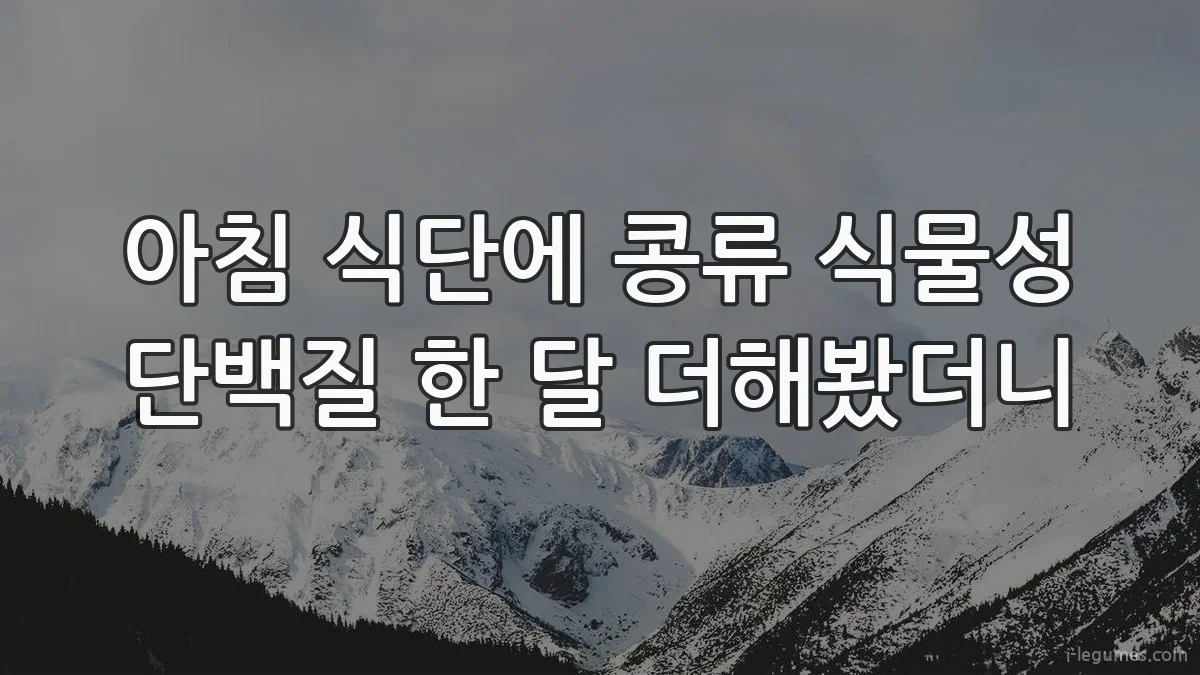아침 식단에 콩류 식물성 단백질 한 달 더해봤더니