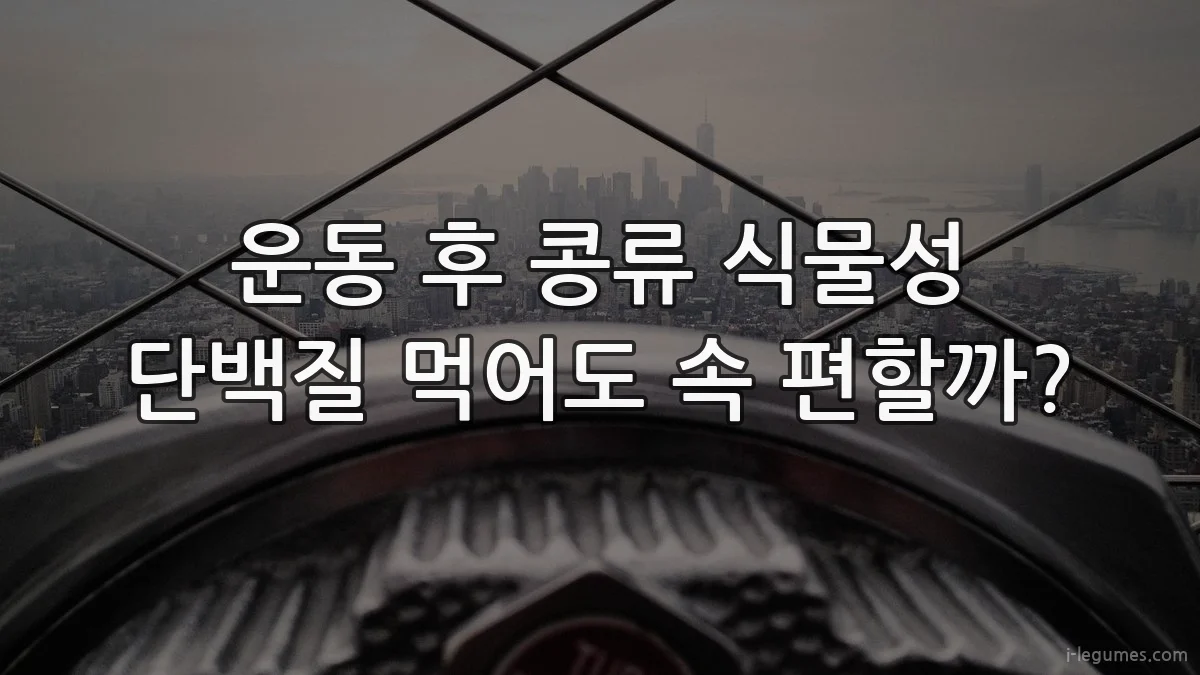 운동 후 콩류 식물성 단백질 먹어도 속 편할까?