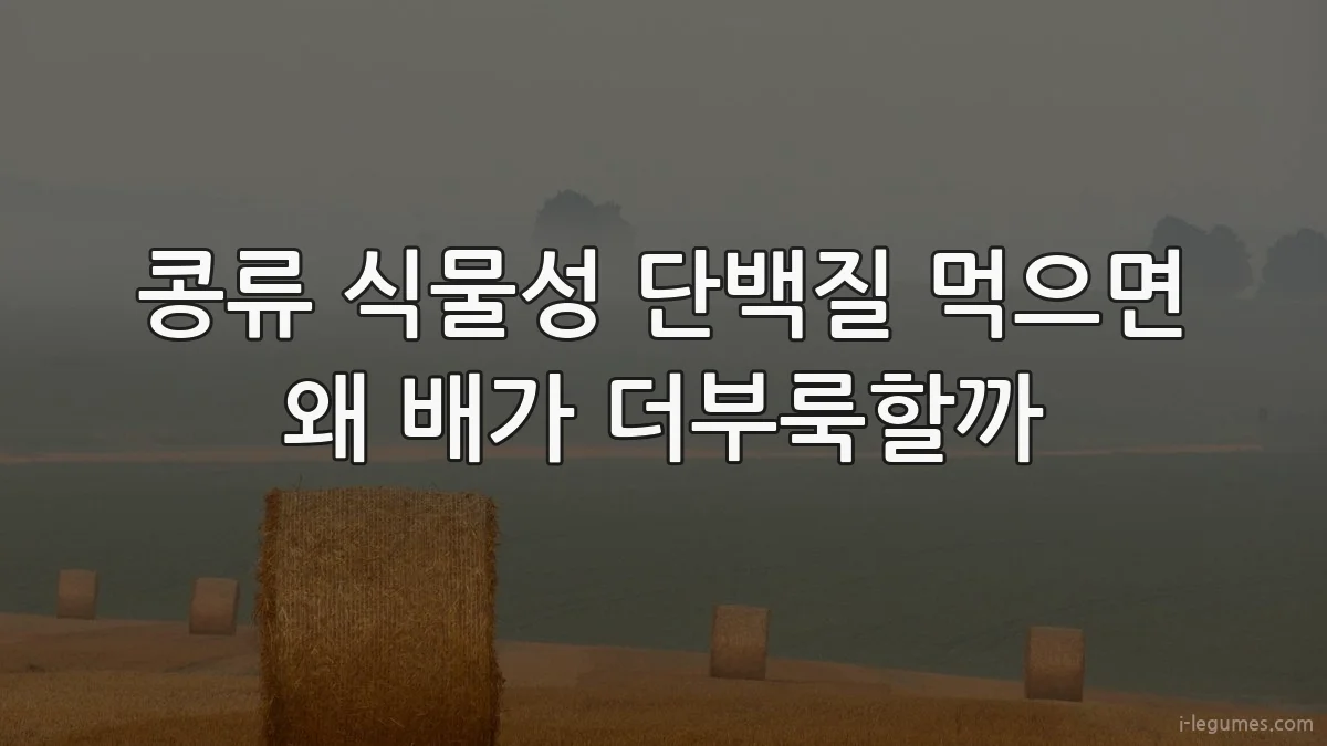 콩류 식물성 단백질 먹으면 왜 배가 더부룩할까