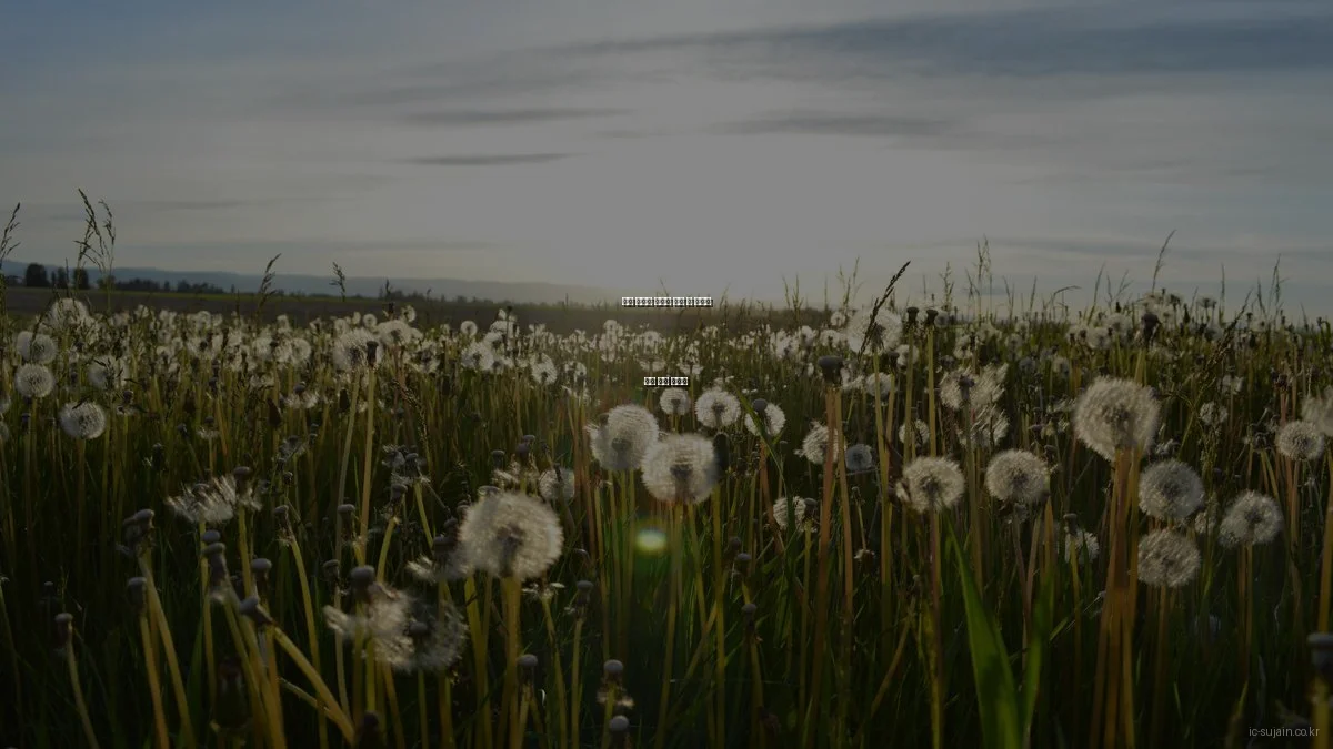 인천 수자인 아파트 계약 후 생기는 문제 해결 가이드