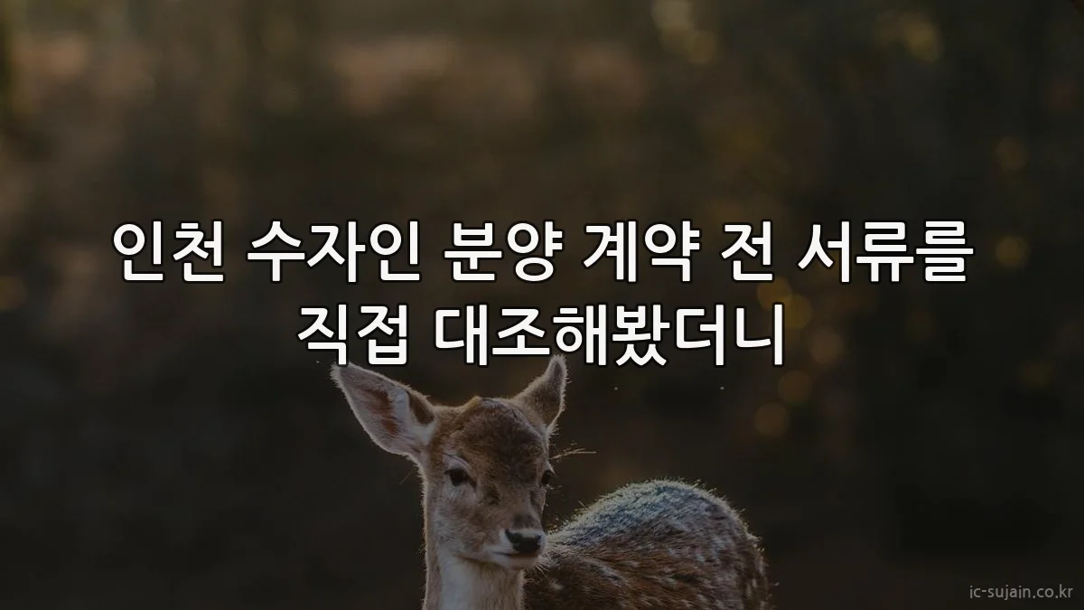 인천 수자인 분양 계약 전 서류를 직접 대조해봤더니