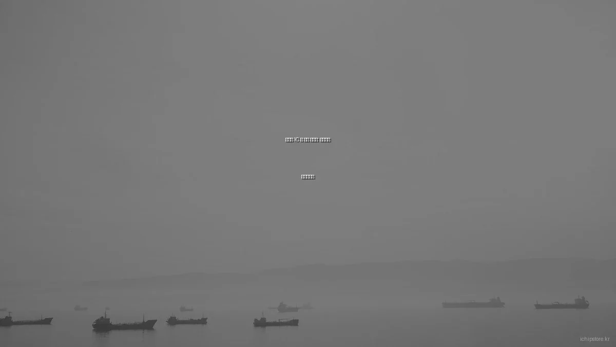 예산별 IC 칩 추천 가이드: 초급부터 전문가까지