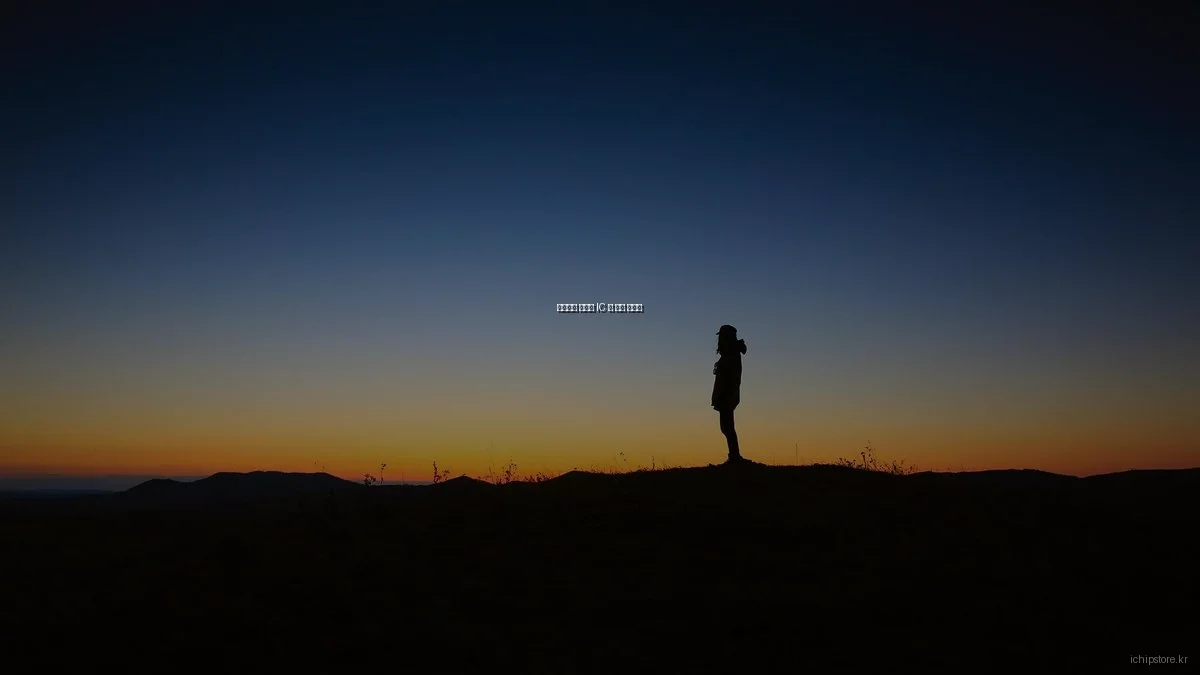 가격대별 가성비 IC 칩 추천 가이드