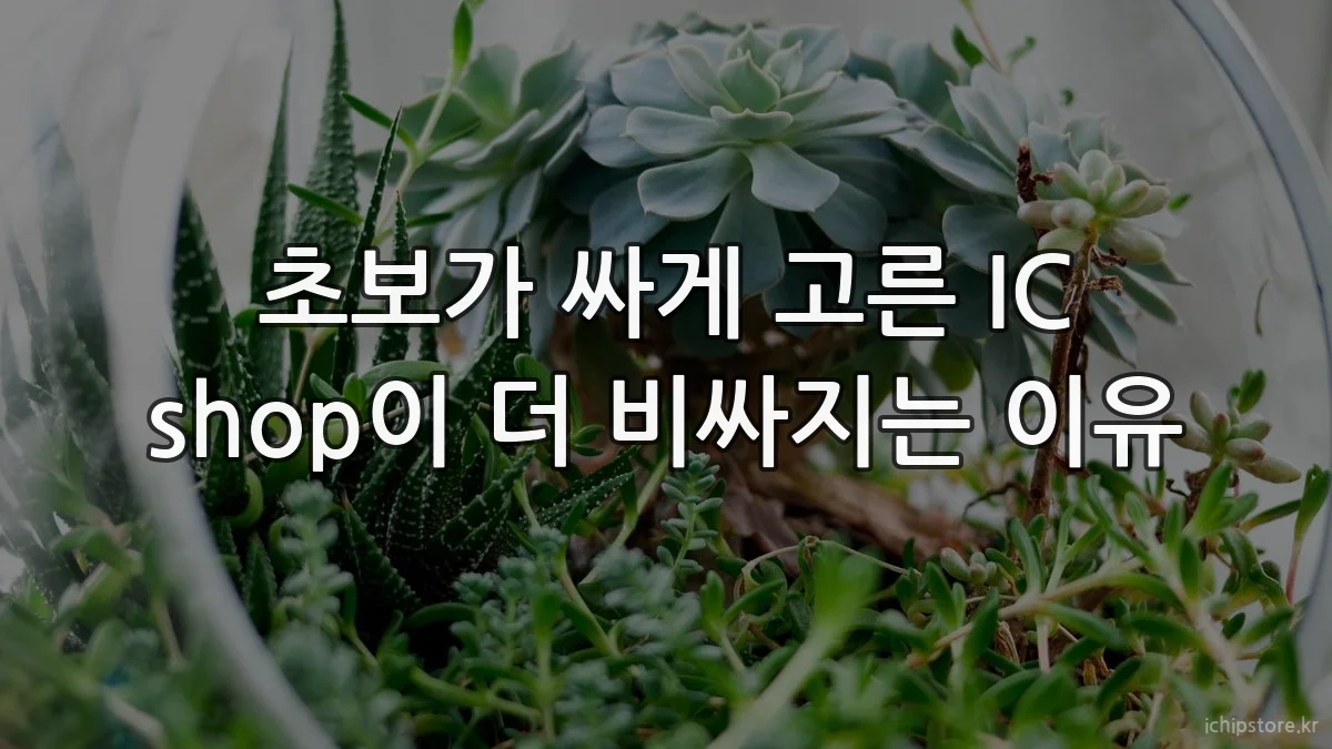 초보가 싸게 고른 IC shop이 더 비싸지는 이유