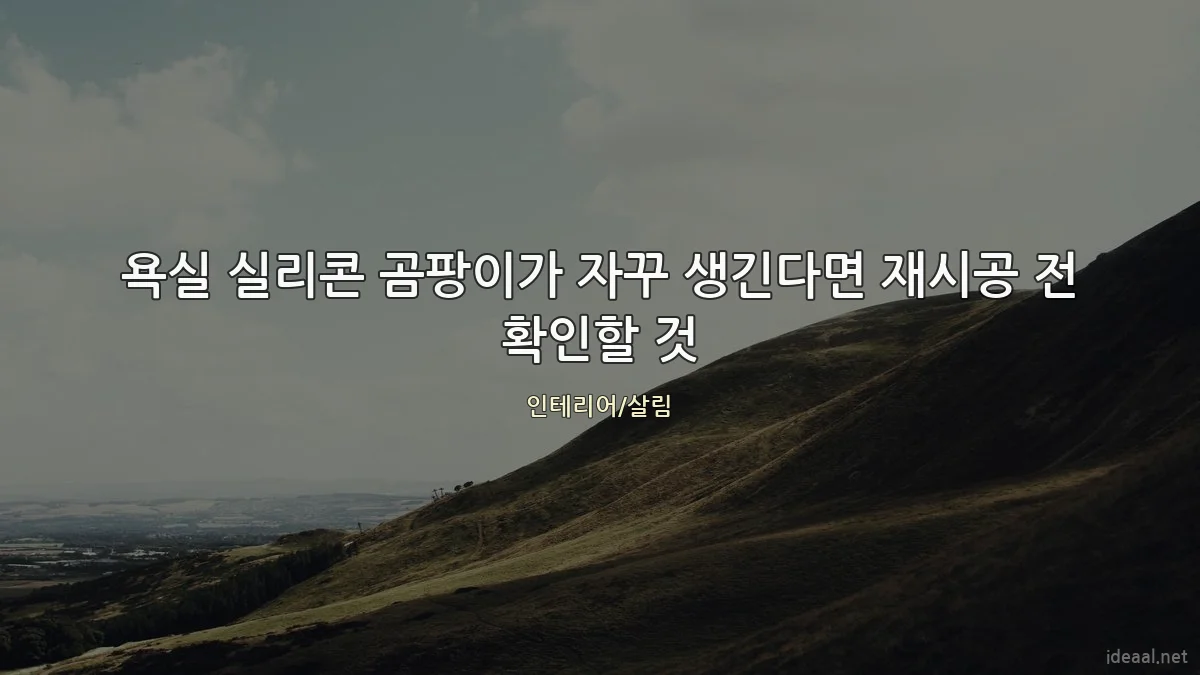 욕실 실리콘 곰팡이가 자꾸 생긴다면 재시공 전 확인할 것