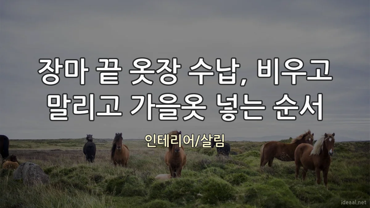 장마 끝 옷장 수납, 비우고 말리고 가을옷 넣는 순서