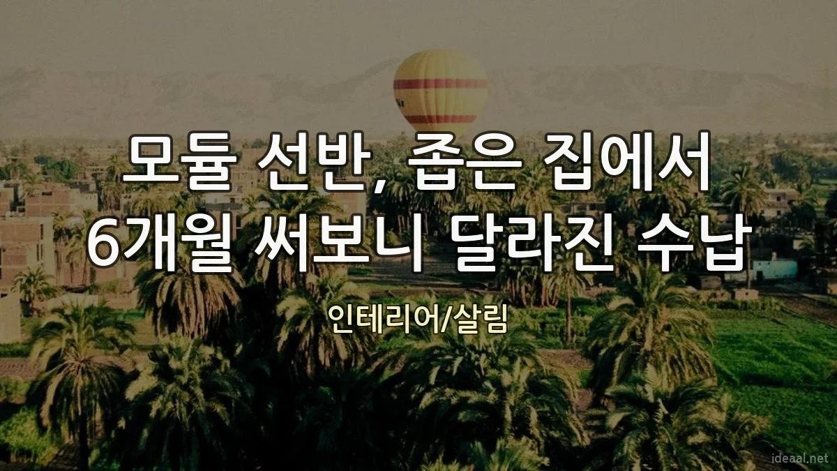 모듈 선반, 좁은 집에서 6개월 써보니 달라진 수납