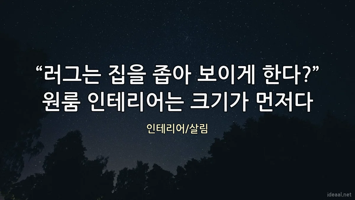 “러그는 집을 좁아 보이게 한다?” 원룸 인테리어는 크기가 먼저다