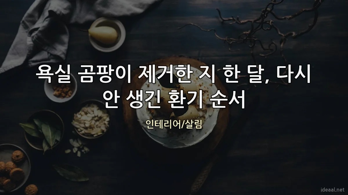 욕실 곰팡이 제거한 지 한 달, 다시 안 생긴 환기 순서