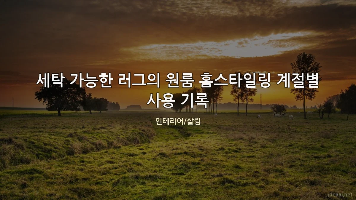 세탁 가능한 러그의 원룸 홈스타일링 계절별 사용 기록