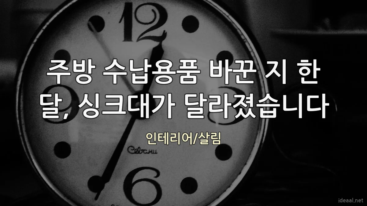 주방 수납용품 바꾼 지 한 달, 싱크대가 달라졌습니다