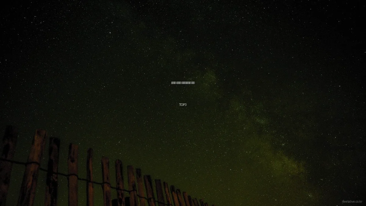 예산별 웰니스 라이프스타일 추천 TOP3