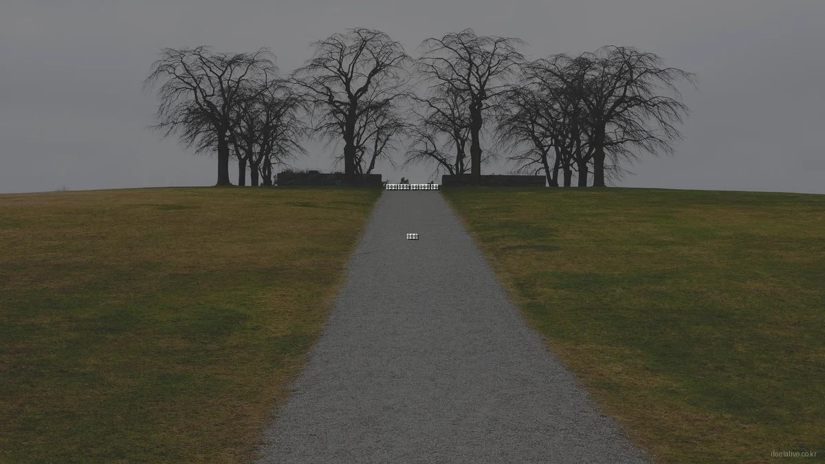 운동과 웰니스: 흔한 문제와 해결 가이드