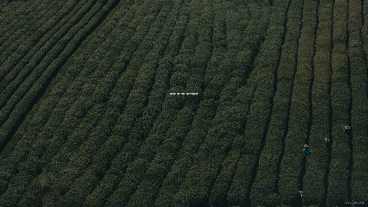 초보자를 위한 웰니스 운동 시작 가이드