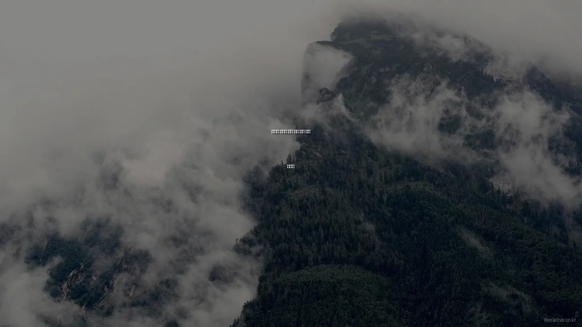 활기찬 여행을 위한 건강 유지 비법 가이드