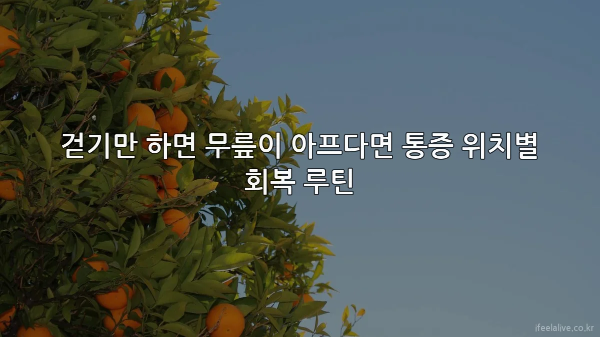 걷기만 하면 무릎이 아프다면 통증 위치별 회복 루틴
