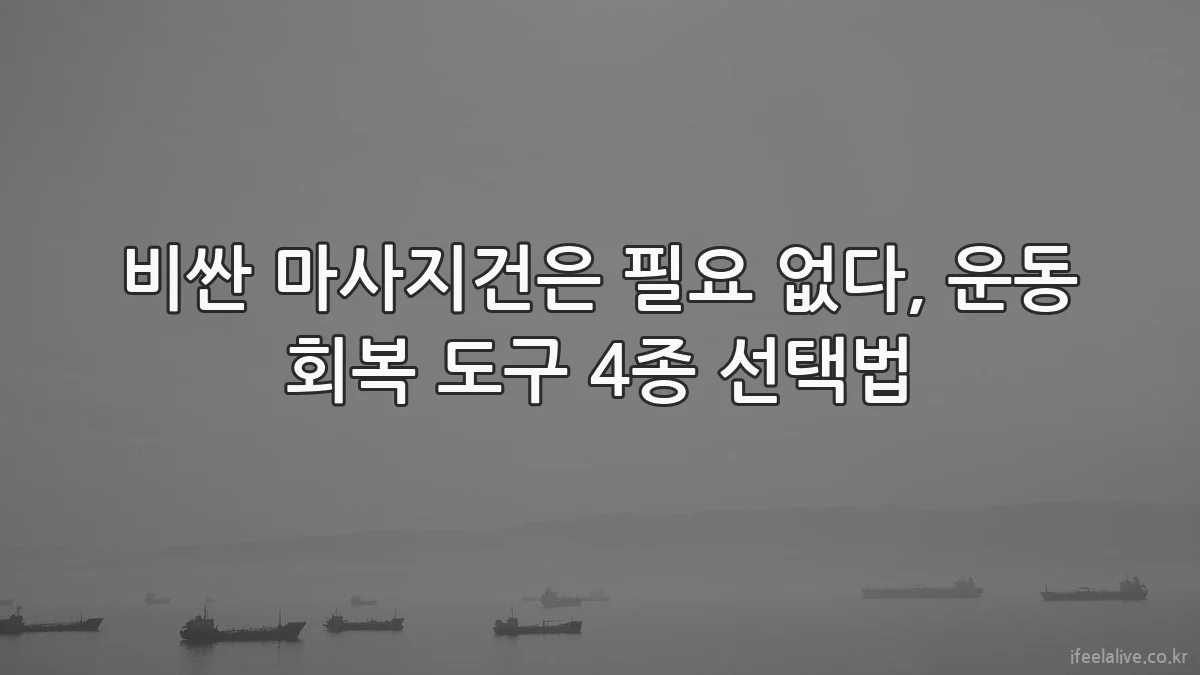 비싼 마사지건은 필요 없다, 운동 회복 도구 4종 선택법
