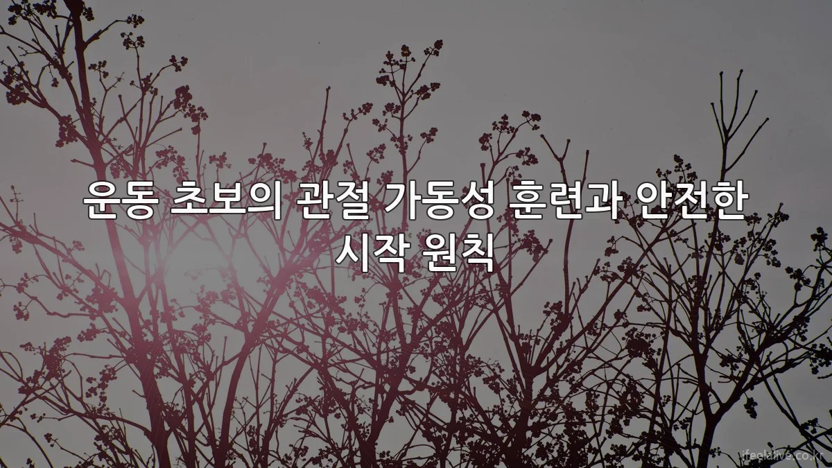 운동 초보의 관절 가동성 훈련과 안전한 시작 원칙