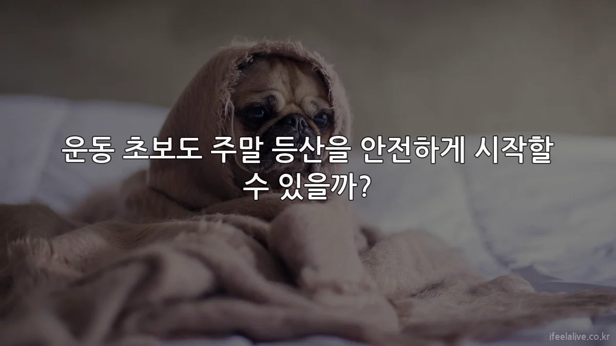 운동 초보도 주말 등산을 안전하게 시작할 수 있을까?