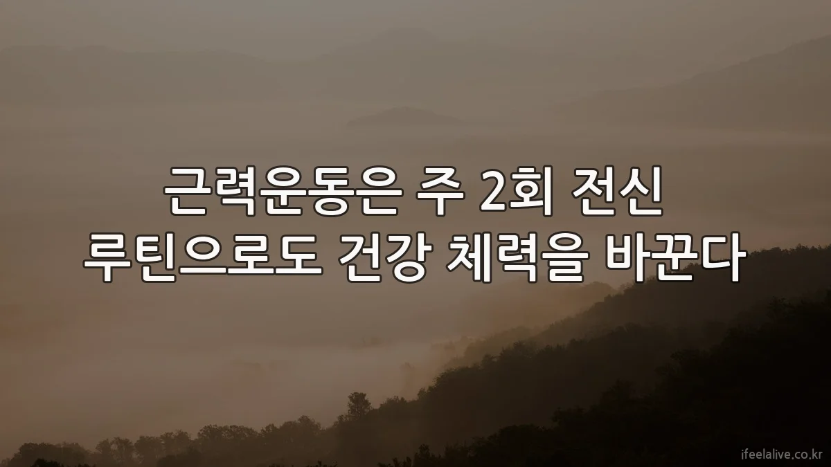 근력운동은 주 2회 전신 루틴으로도 건강 체력을 바꾼다