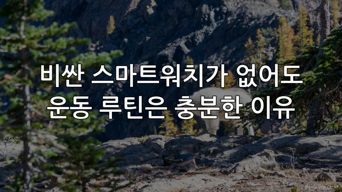 비싼 스마트워치가 없어도 운동 루틴은 충분한 이유