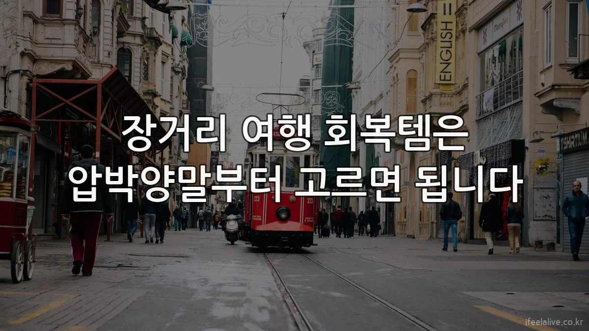 장거리 여행 회복템은 압박양말부터 고르면 됩니다