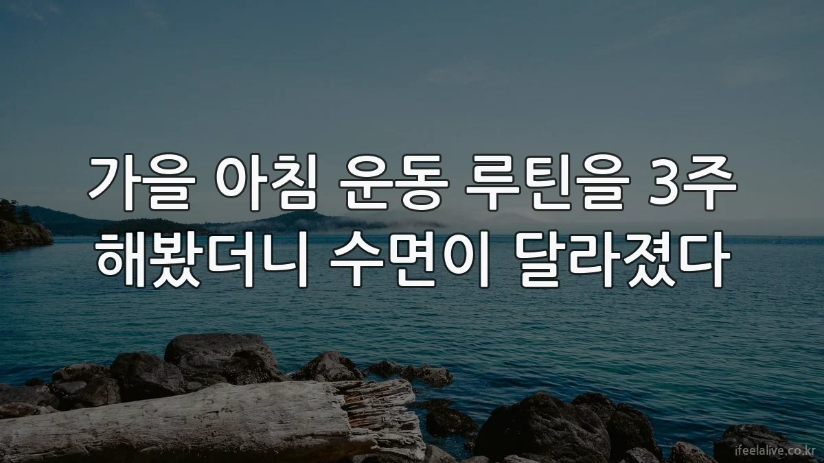 가을 아침 운동 루틴을 3주 해봤더니 수면이 달라졌다