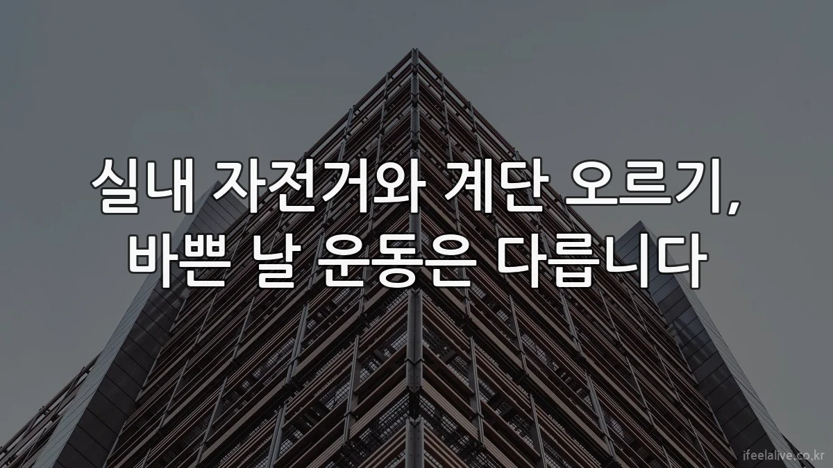 실내 자전거와 계단 오르기, 바쁜 날 운동은 다릅니다