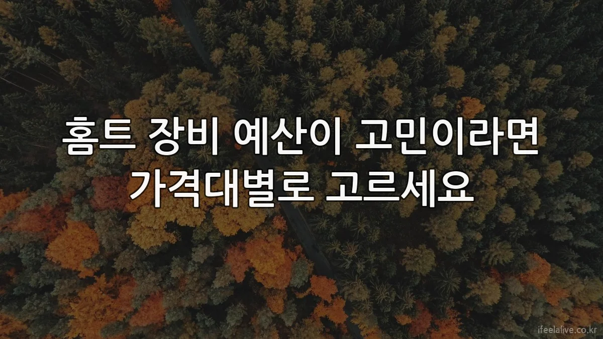 홈트 장비 예산이 고민이라면 가격대별로 고르세요