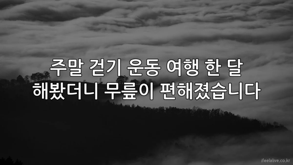 주말 걷기 운동 여행 한 달 해봤더니 무릎이 편해졌습니다