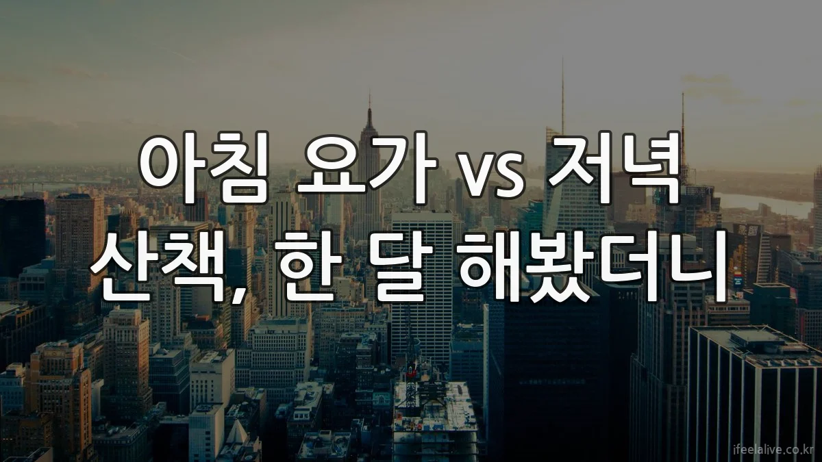아침 요가 vs 저녁 산책, 한 달 해봤더니