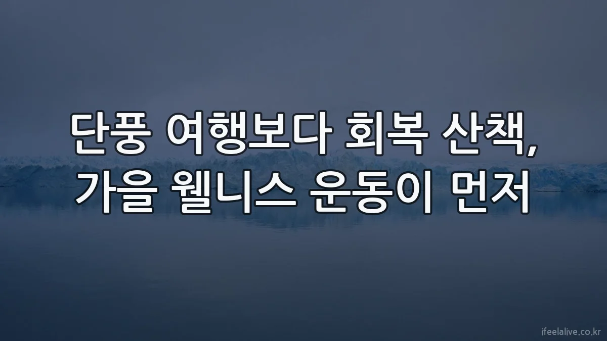 단풍 여행보다 회복 산책, 가을 웰니스 운동이 먼저
