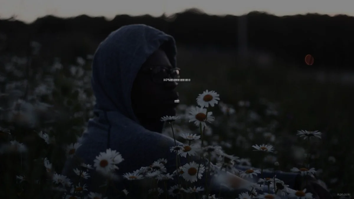 IKPN에서 네트워크 전문가 찾는 법 가이드