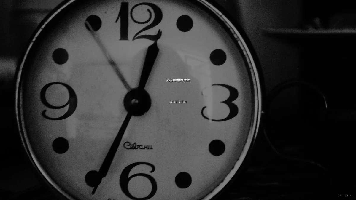 IKPN 전문가 인터뷰: 성공적인 비즈니스 네트워크 비법